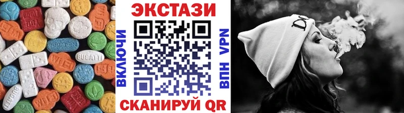 Купить закладки  Грязовец  Ecstasy диски 