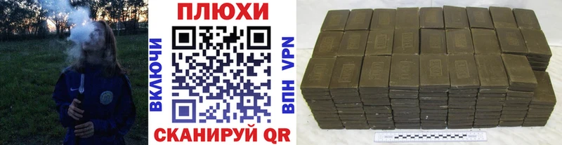 Купить где  Грязовец  ГАШ Premium 