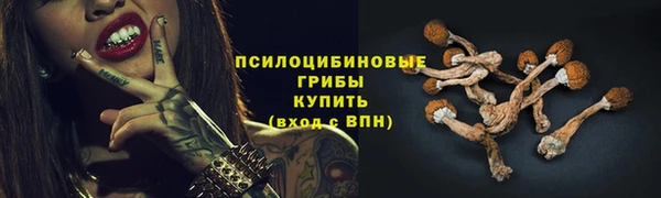 мдма Корсаков