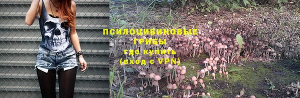 мдма Корсаков