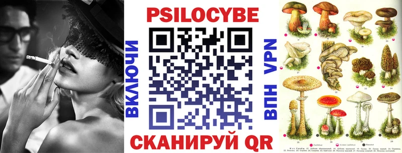 Купить закладки  Грязовец  Псилоцибиновые грибы Cubensis 